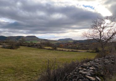 Tour Wandern Marvejols - Marvejols/Valadou - Photo