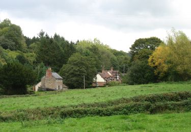 Trail On foot  - Mordiford Loop - Photo