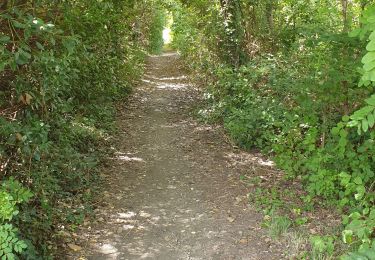 Tour Wandern Montélimar - base de loisir de Montelimar - Photo