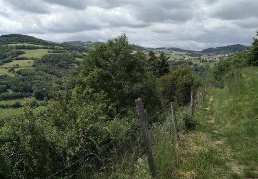 Tocht Stappen Riverie - Tour de Riverie - Photo