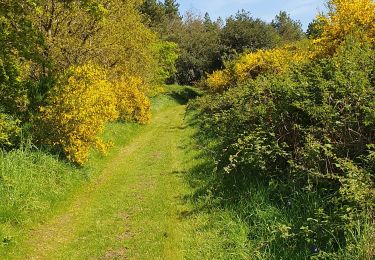 Tocht Stappen Kerpert - circuit des moulins, Kerpert - Photo