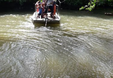 Tour Wandern La Trinité -  Galion mangrose en boucle  - Photo