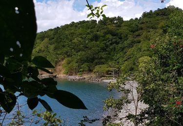 Excursión Senderismo  - 971 de Petit Malendure à l'anse Colas - Photo