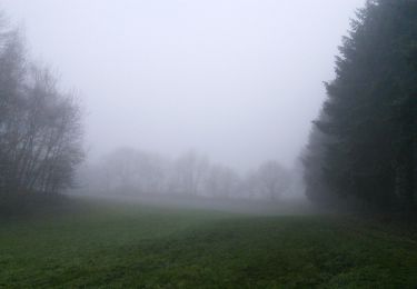 Excursión A pie Geisenheim - Geisenheimer Rundweg D - Photo