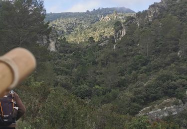Trail Walking Brignoles - l'Amarron - Photo