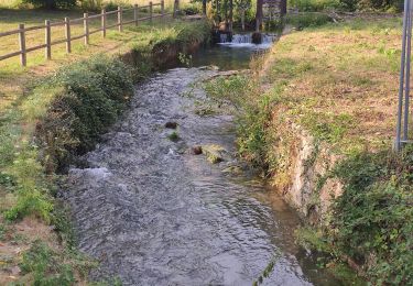 Excursión Senderismo Livet-sur-Authou - 20220815 - Photo