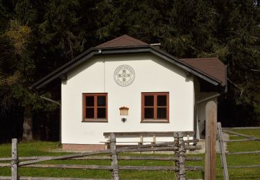 Tocht Te voet Gemeinde Aspangberg-St.Peter - Mariensee - Mönichkirchener Schwaig - Photo