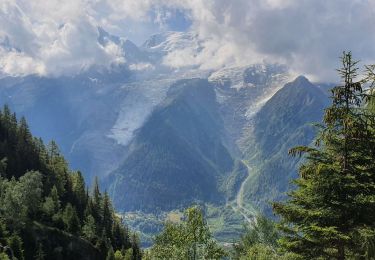 Trail Walking Les Houches - Boucle Merlet - Refuge Bellachat - Aiguillette des Houches - Photo