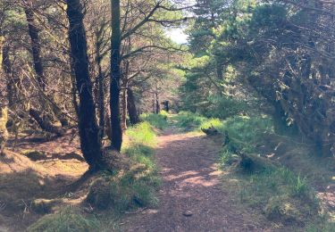 Tour Wandern Westport-Belmullet Municipal District - Letterkeen loop - Photo