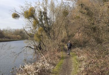 Trail Walking Seneffe - arquennes vieux canal gr bois de l hôpital ravel - Photo