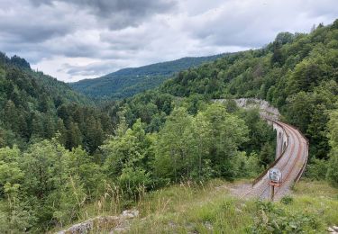 Trail Walking Hauts de Bienne - sentier de la Bienne - Photo