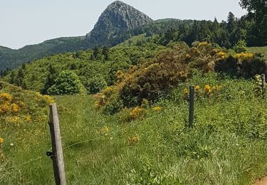 Trail Walking Les Estables - monts d'ardeche - Photo