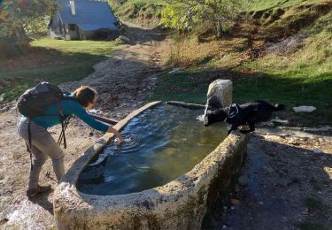 Tour Wandern Engins - Le hameau de Sornin - Photo