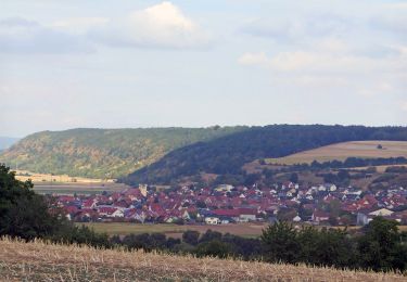 Excursión A pie Oberhaid - Rundwanderweg Oberhaid rot - Photo