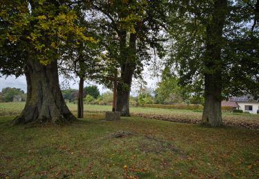 Tour Wandern Onhaye - Adeps Anthée - Photo