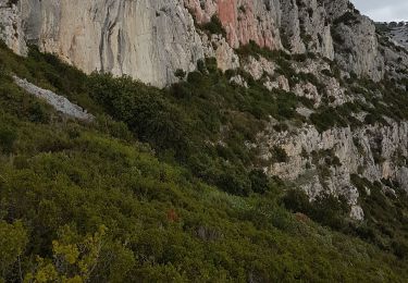 Tocht Stappen Ollioules - Chateauvallon  - Photo