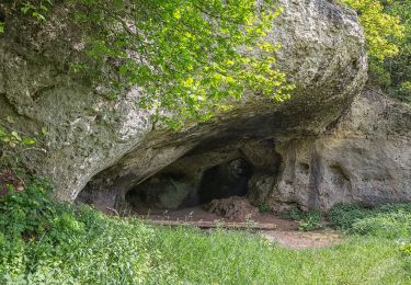 Tocht Te voet Auerbach in der Oberpfalz - Auerbacher Obstler-Weg - Photo