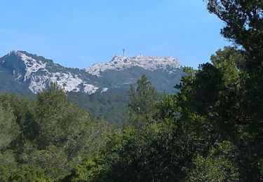 Excursión Senderismo Évenos - le Broussan cap gros - Photo