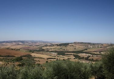 Randonnée A pied Pienza - Vitaleta - Photo