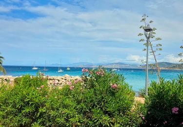 Percorso Marcia L'Île-Rousse - Boucle Ile Rousse - Corbara - Pigna - Santa Réparata - Photo