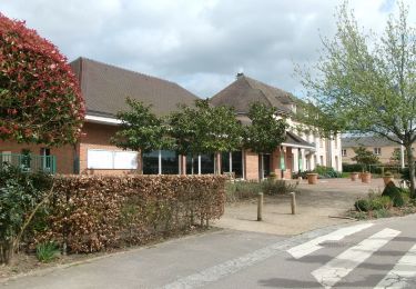 Tour Wandern La Londe - la londe - Photo