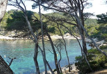Percorso A piedi Saint-Cyr-sur-Mer - Sentier du littoral (Saint-Cyr-sur-Mer) - Photo