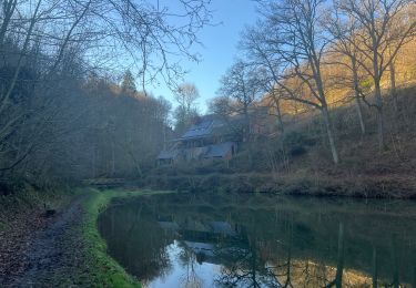 Randonnée Marche Hastière - Blaimont - Photo