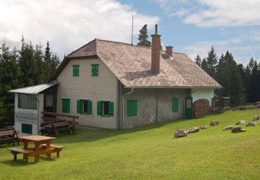 Percorso A piedi Pöllauberg - Waldlehrpfad Masenberg - Photo