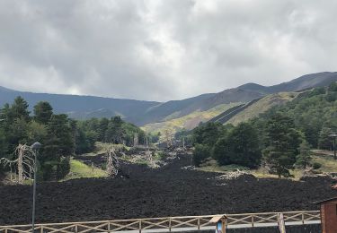 Randonnée A pied Zafferana Etnea - (SI V23E) Zafferana Etnea frazione Ballo - Piano Provenzana - Photo