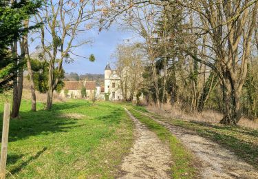Trail Walking Rocourt-Saint-Martin - Rocourt St Martin du 13-03-2025 - Photo
