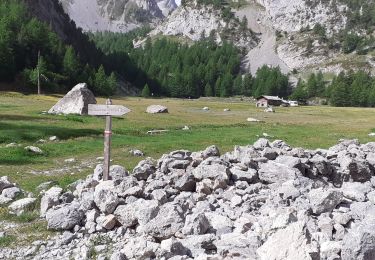 Percorso Marcia Arvieux - n 2 camping - Photo