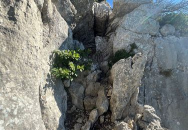 Percorso Marcia Fillière - GLIERES: NOTRE DAME DES NEIGES - TETES NOIRE, RONDE et ARPETTAZ - RETOUR PAR ABLONles 3 têtes d'Ablon - Photo