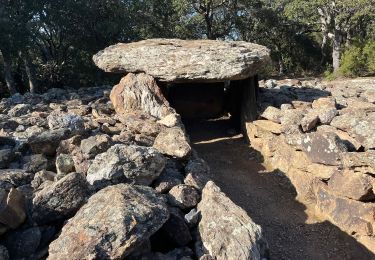 Percorso Marcia Casefabre - Casefabre Dolmen  - Photo