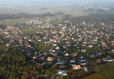 Tocht Te voet Baiersdorf - Meerrettichweg - Photo