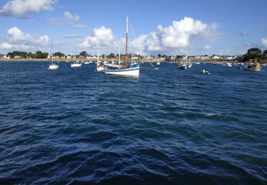 Trail Motorboat Locmariaquer - 2023-09-22 golfe du morbihan croisière avec l'angélus - Photo