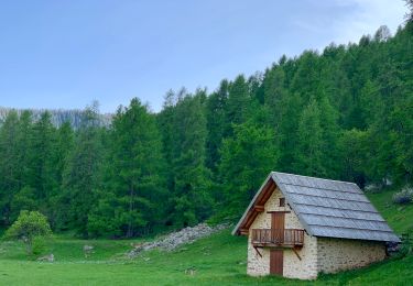 Randonnée A pied Villars-Colmars - De Chasse à la cabane Marie-Louise - Photo