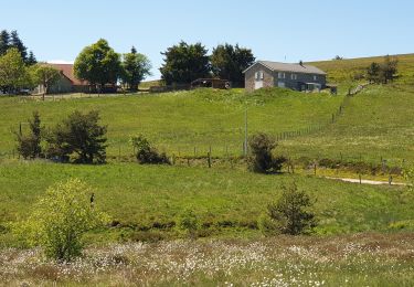 Tocht Stappen Grandrif - Boucle des Pradeaux - Photo