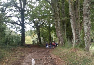 Excursión Senderismo Chasseneuil-sur-Bonnieure - La randonnée du Mémorial de Chasseneuil  - Photo