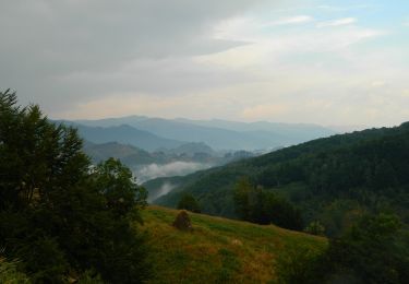 Randonnée A pied Inconnu - Poiana Țăsnei - Șaua Arșasca - Photo