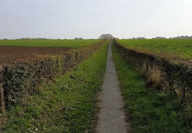 Tocht Te voet Voerendaal - De Roode draed - Photo
