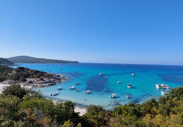 Trail Walking Saint-Florent - Sentier du littoral Les Agriades - Photo