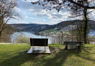 Trail Walking Simmerath - Einrhur 23 km - Photo