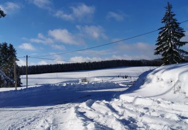 Percorso Racchette da neve Haut Valromey - sortie raquettes LACHAT - Photo