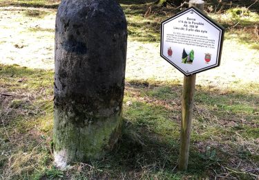Trail Walking Theux - Hautregard-Charmille 10 Km  - Photo