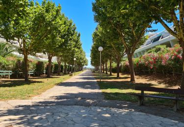 Trail Walking La Grande-Motte - La Grande Motte-Le Boucanet-La plage - Photo