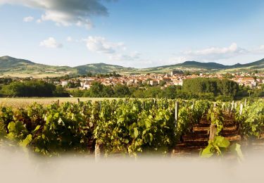 Percorso Marcia Vic-le-Comte - Vic_le_Comte_Campagne - Photo