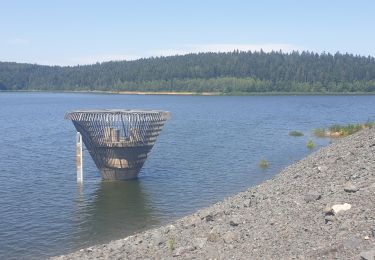 Percorso Marcia Celles-sur-Plaine - Du lac de la Plaine au lac de Vieux-Pré à Pierre-Percée - Photo