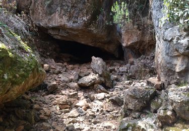 Tocht Stappen Néoules - grotte Régay à Néoules - Photo