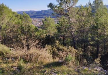 Tour Wandern Taradeau - z le clos du dragon à Taradeau 27-11-18 - Photo
