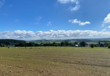 Tour Wandern Tenneville - Erneuville - Photo